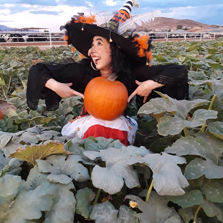 cc pumpkin patch